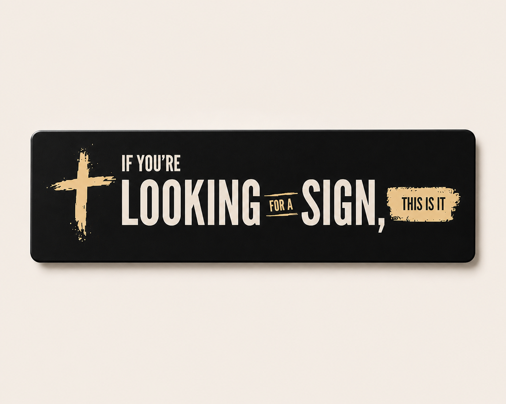 Looking for a Sign? This Is It Car Magnet