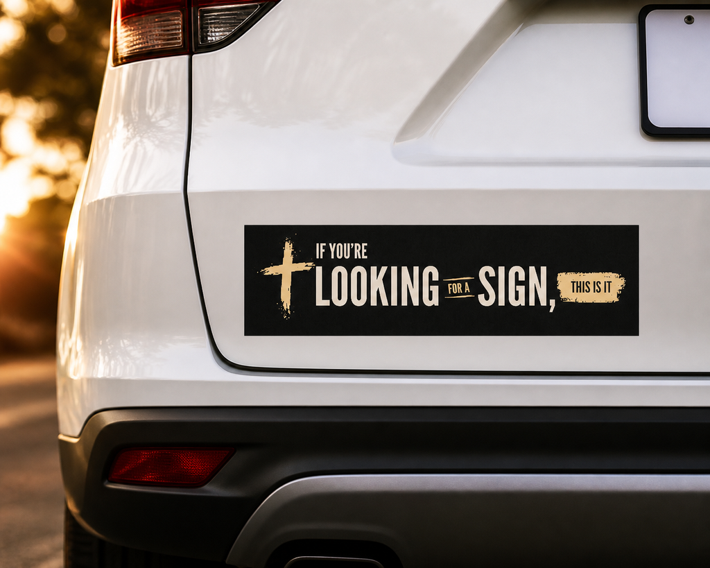 Looking for a Sign? This Is It Car Magnet
